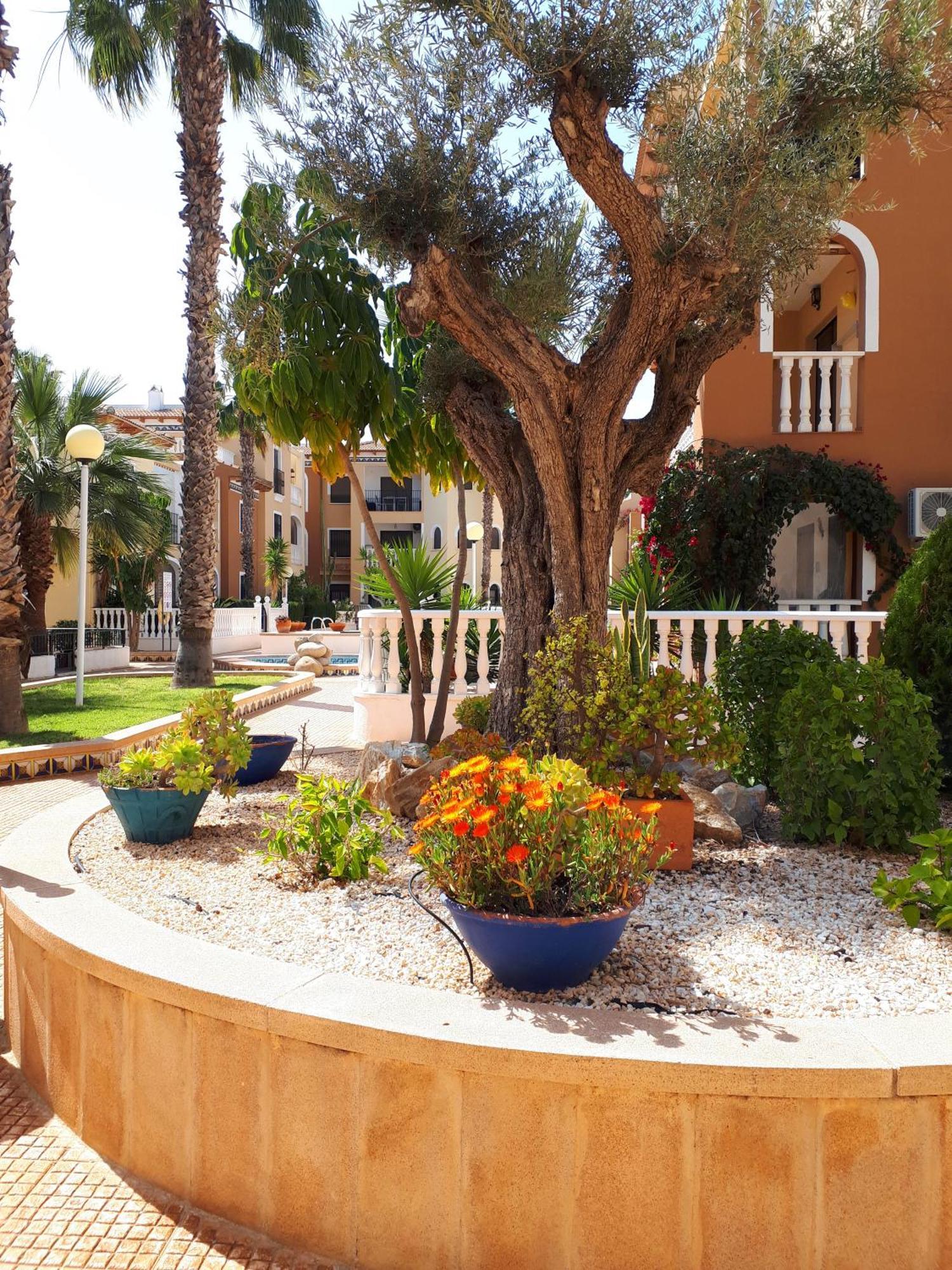 Los Alcázares L.A. Apartment מראה חיצוני תמונה